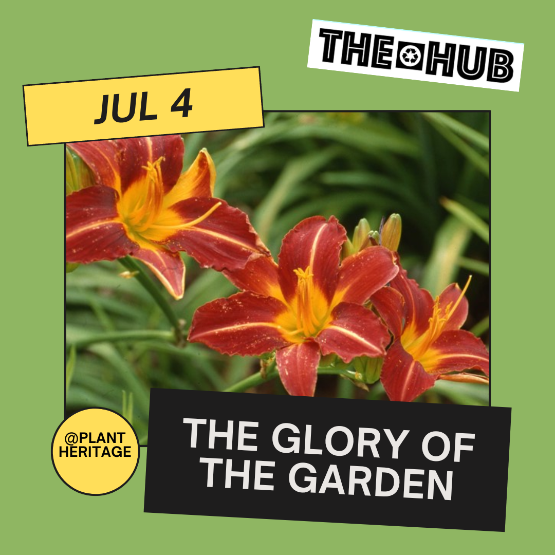 The Glory of the Garden