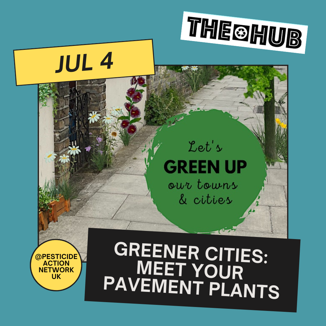 Greener Cities: Meet your pavement plants