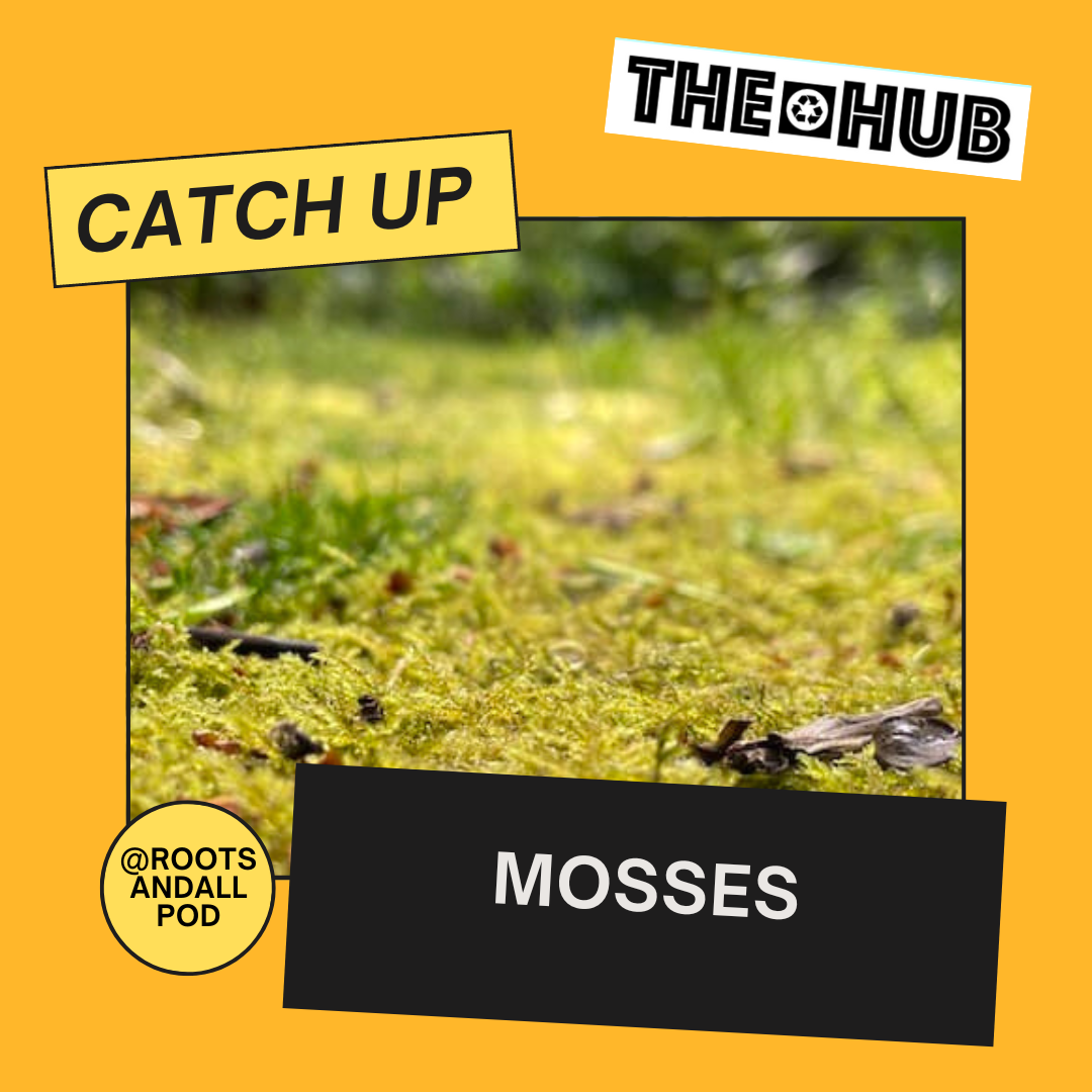 Mosses