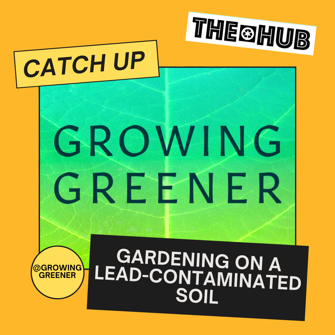 Gardening on a Lead-Contaminated Soil