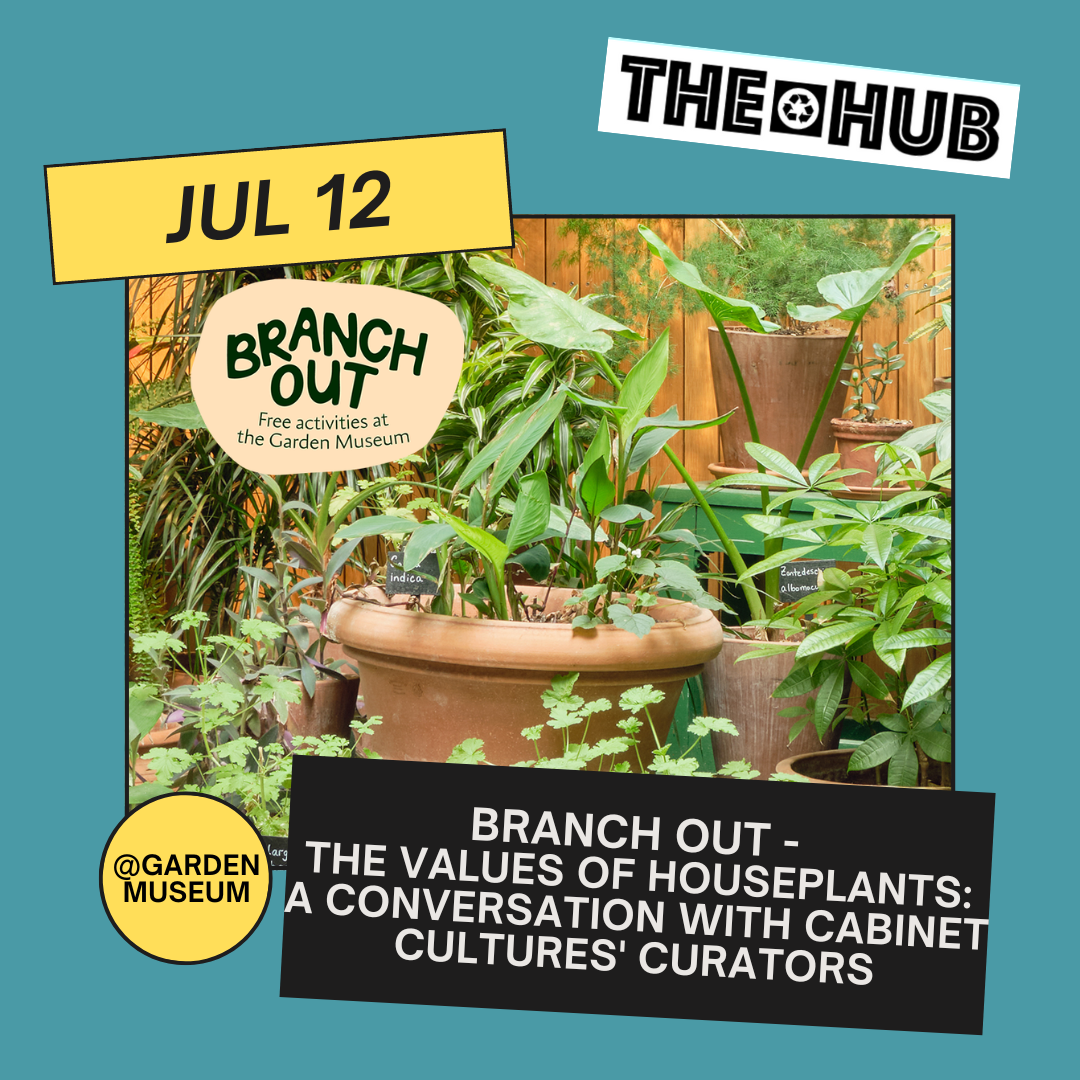 Branch Out - The Values of Houseplants: A Conversation with Cabinet Cultures' Curators
