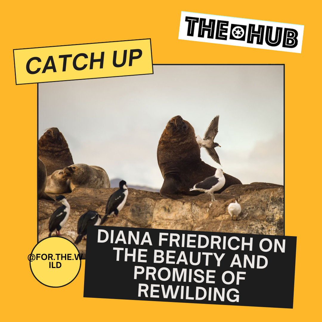 Diana Friedrich on the Beauty and Promise of Rewilding