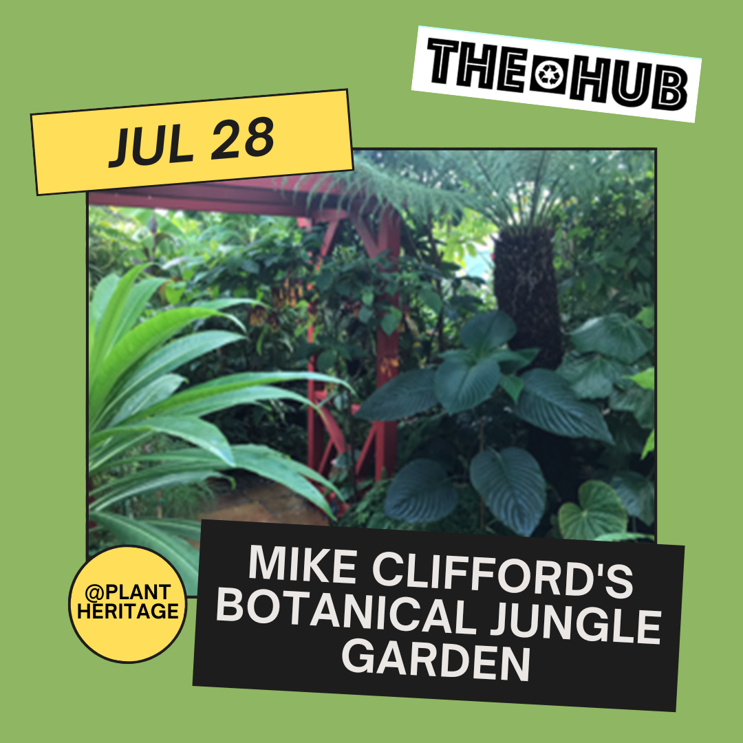 Mike Clifford's Botanical Jungle Garden