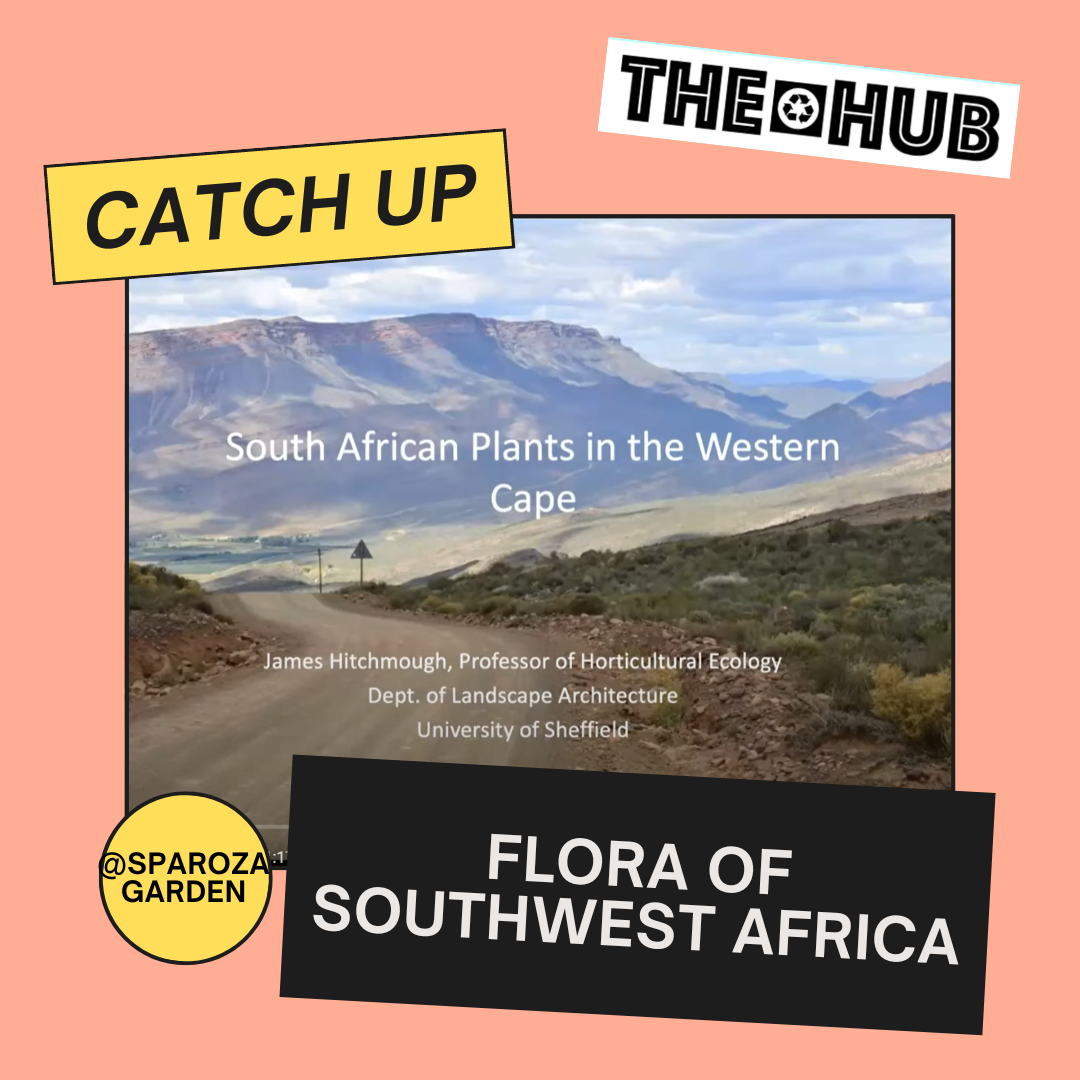 Flora of Southwest Africa