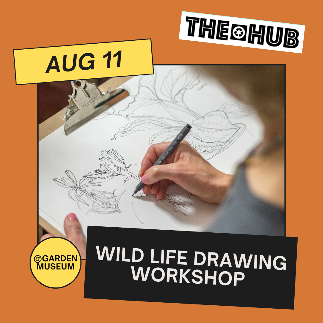 Wild Life Drawing Workshop