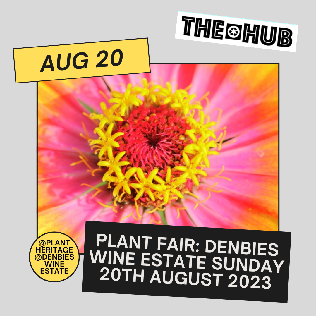 Plant Fair: Denbies Wine Estate Sunday 20th August 2023