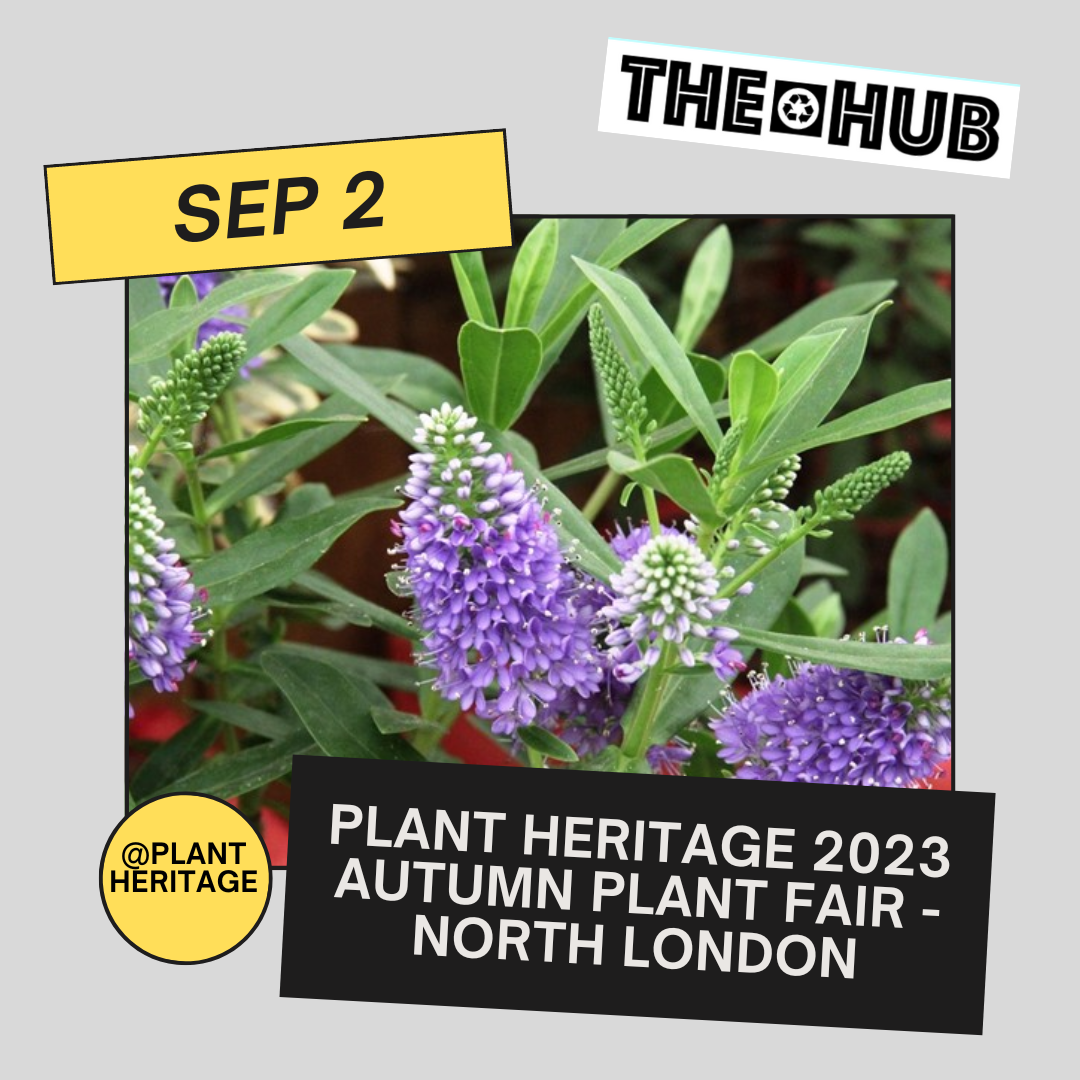 Plant Heritage 2023 Autumn Plant Fair - North London