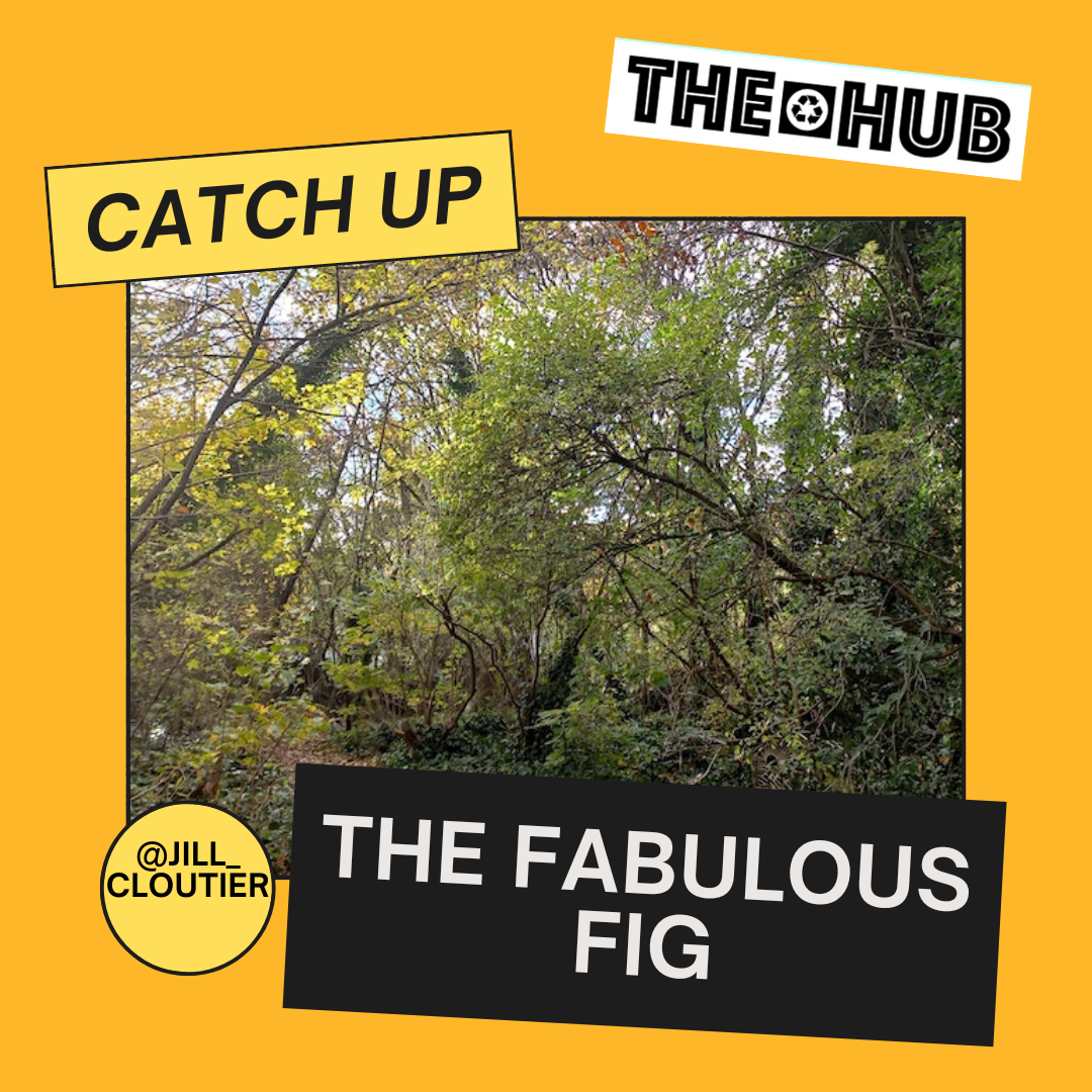 The Fabulous Fig