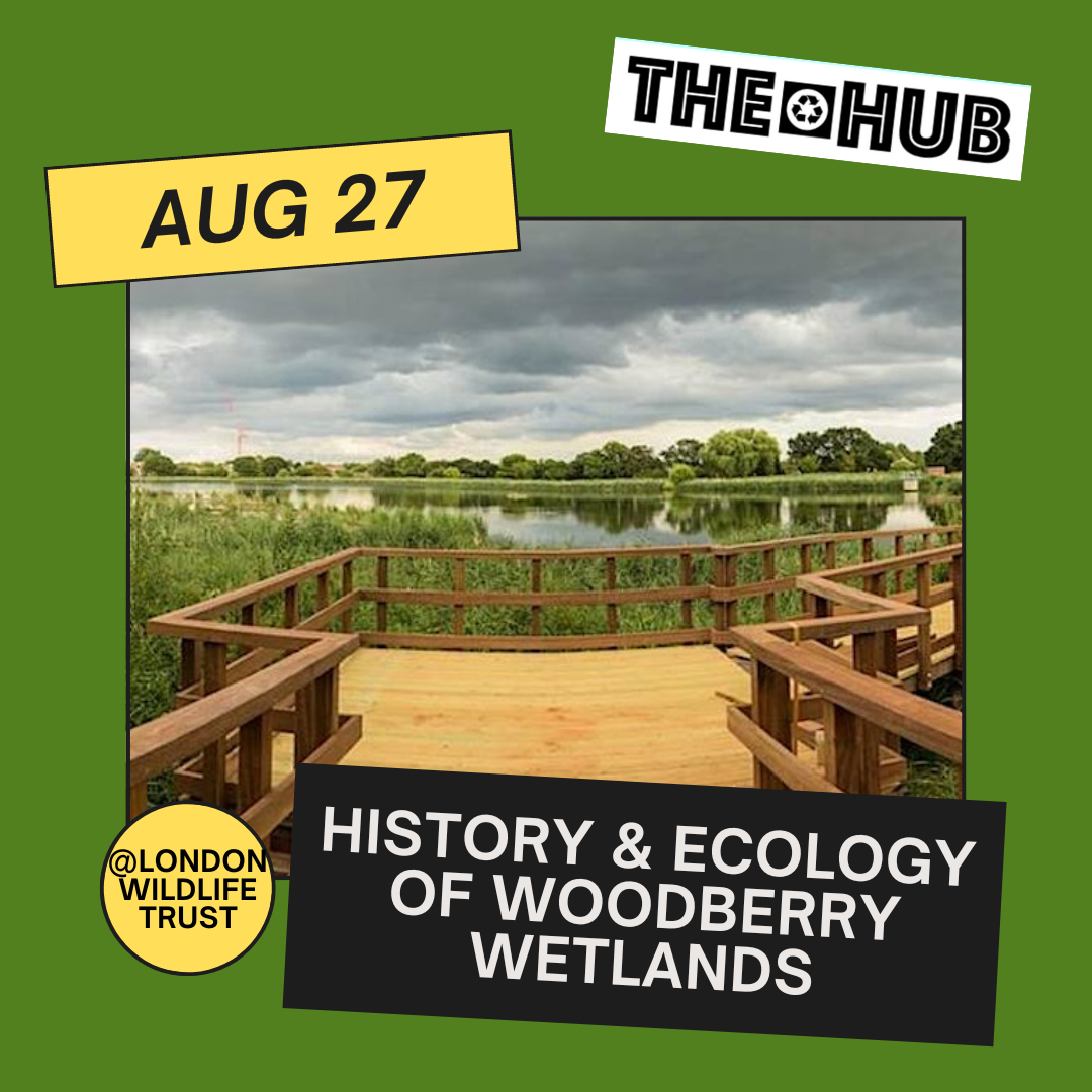 History & Ecology of Woodberry Wetlands