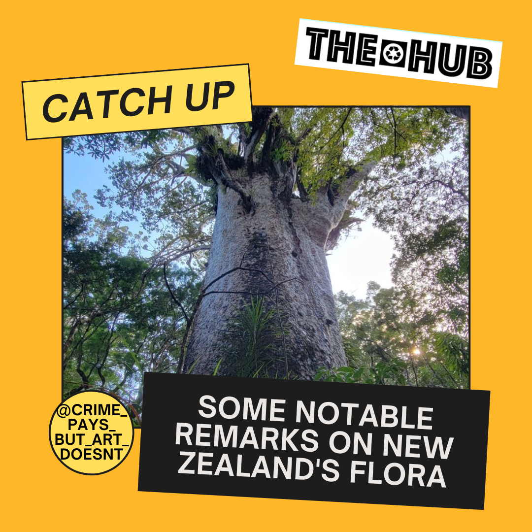 Some Notable Remarks On New Zealand's Flora