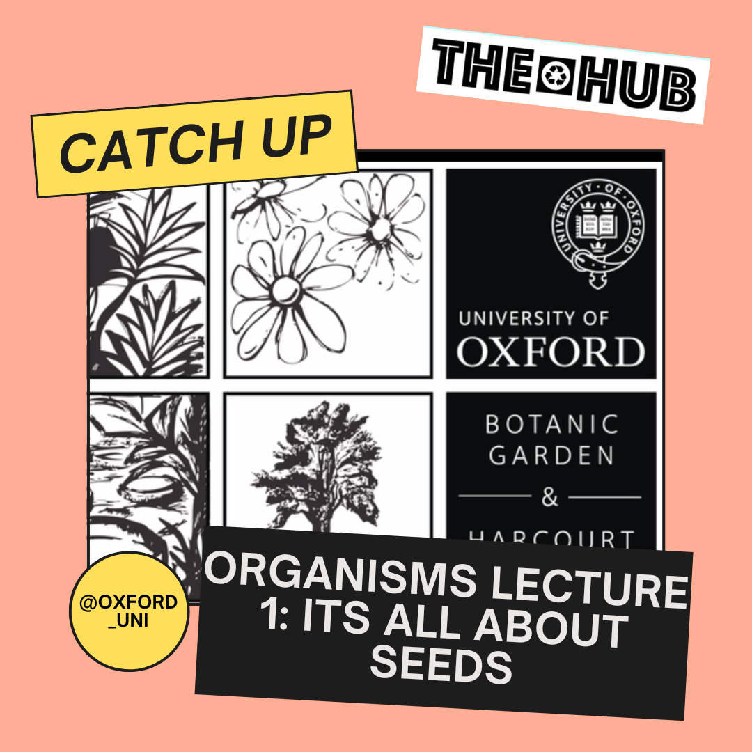 Organisms Lecture 1: Its all about seeds