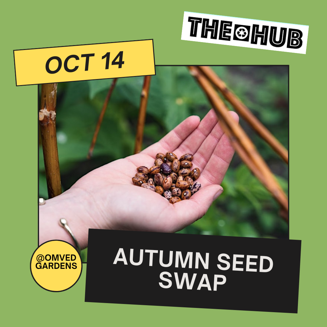 Autumn Seed Swap