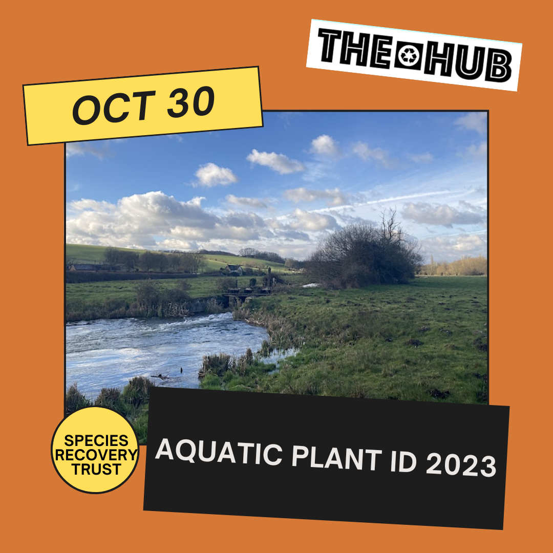 Aquatic Plant ID 2023
