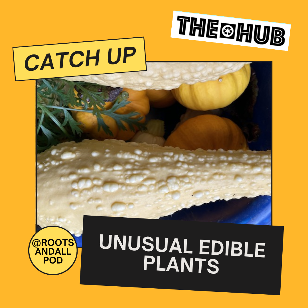 Unusual Edible Plants