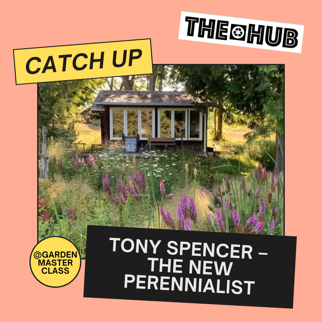 Tony Spencer – The New Perennialist