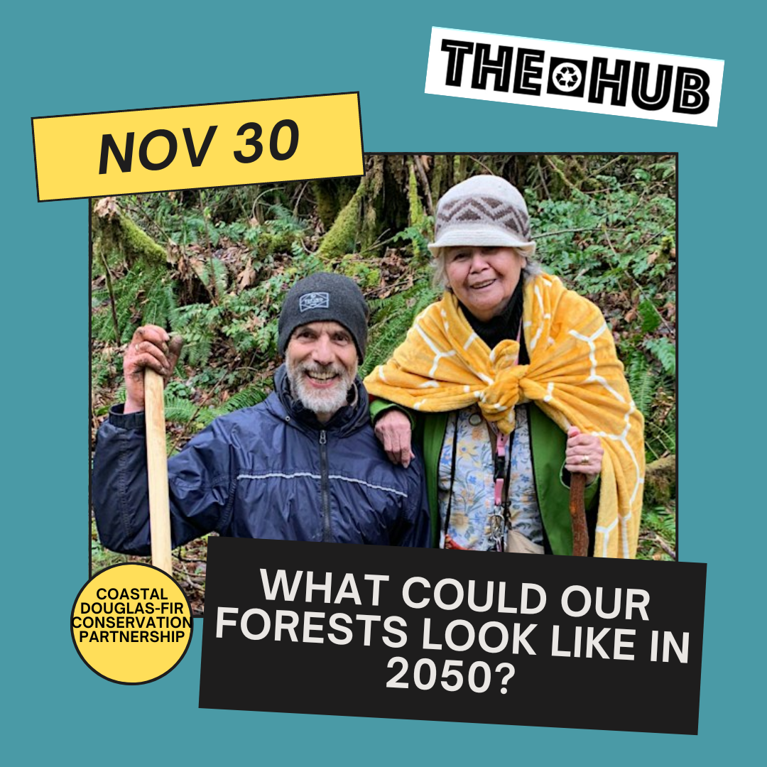 What could our forests look like in 2050?