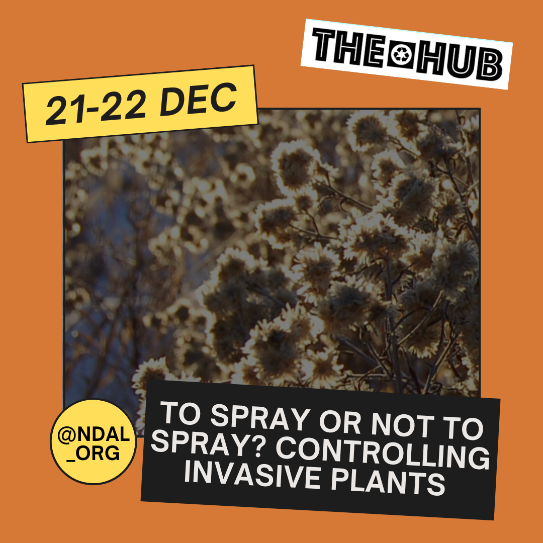 To Spray or Not to Spray? Controlling Invasive Plants 