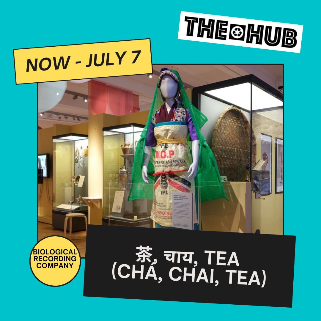茶, चाय, Tea (Chá, Chai, Tea)