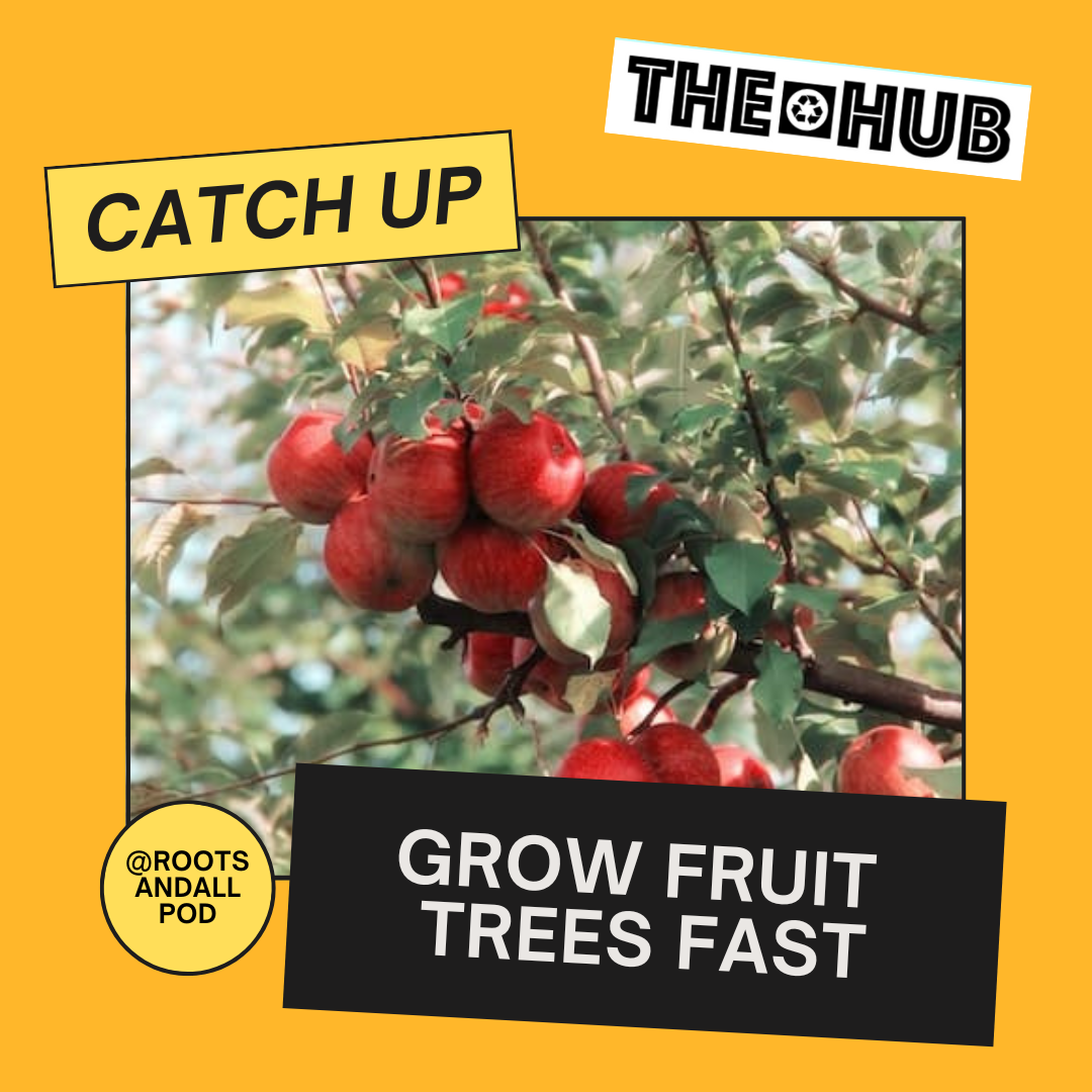 Grow Fruit Trees Fast