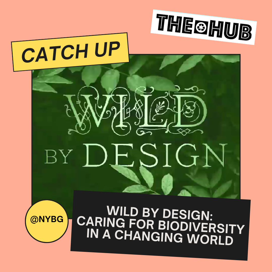Wild by Design: Caring for Biodiversity in a Changing World