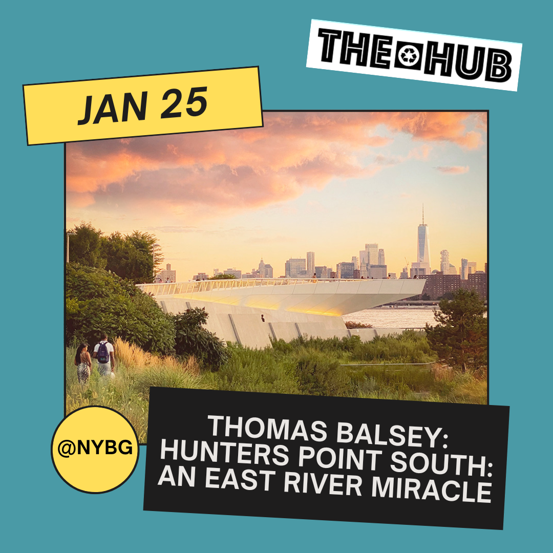 Thomas Balsey: Hunters Point South: An East River Miracle