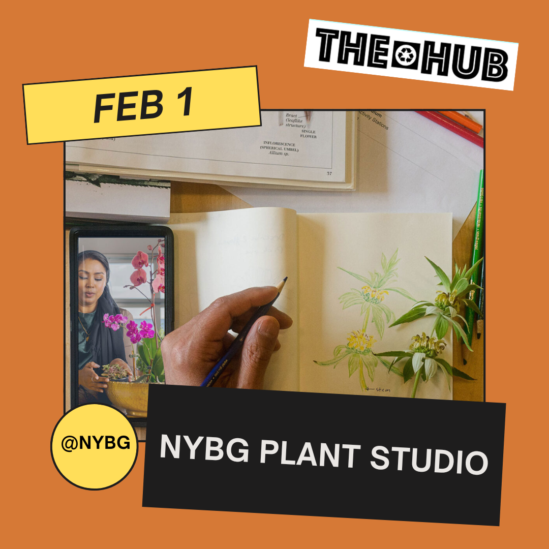 NYBG Plant Studio