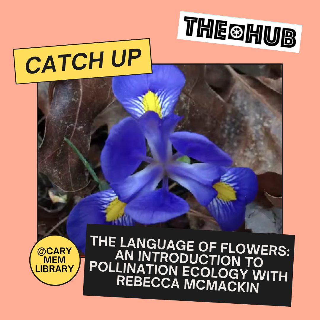 The Language of Flowers: An Introduction to Pollination Ecology with Rebecca McMackin