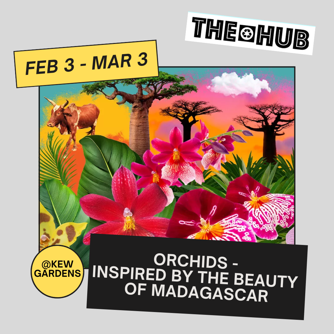 Orchids - Inspired by the beauty of Madagascar