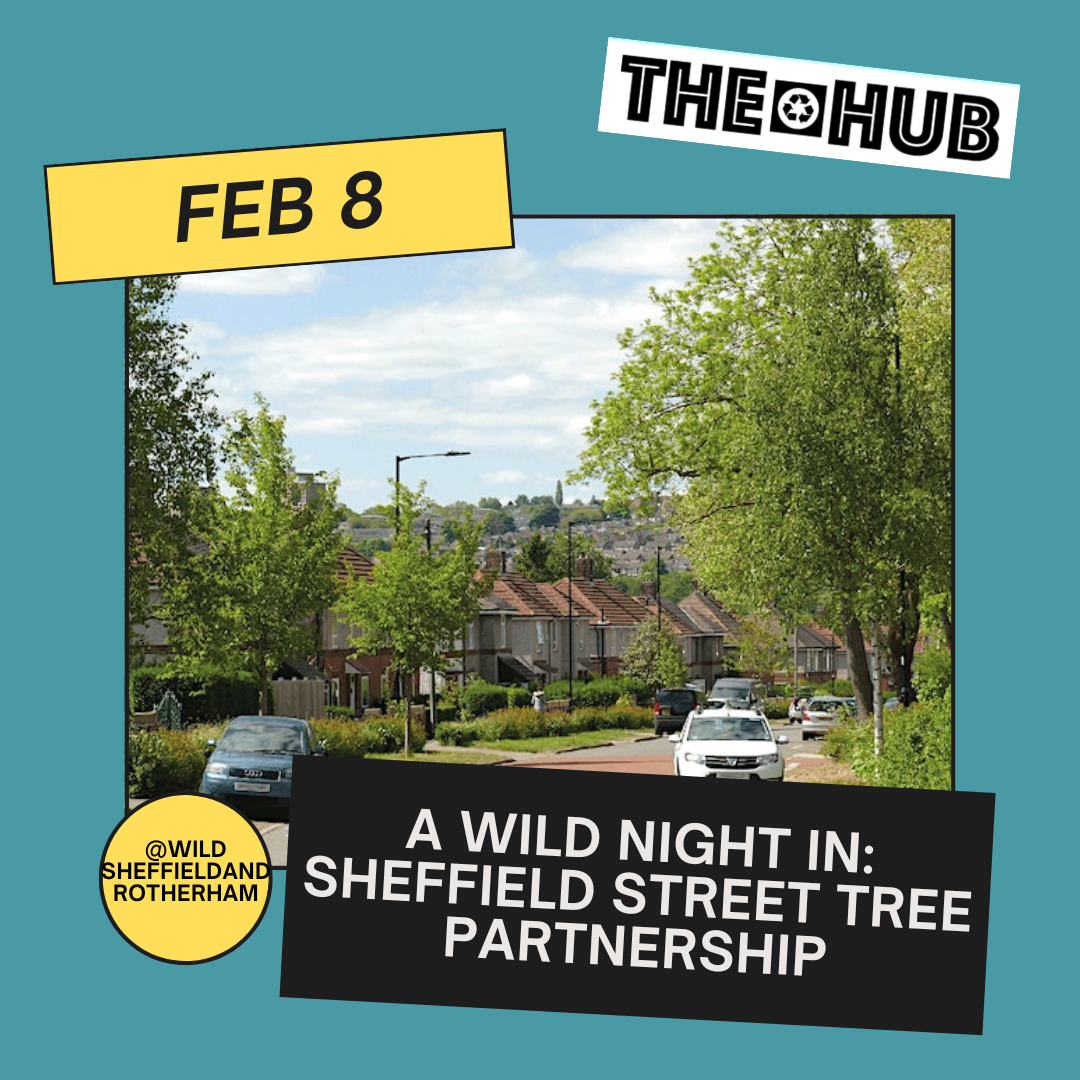 A Wild Night In: Sheffield Street Tree Partnership