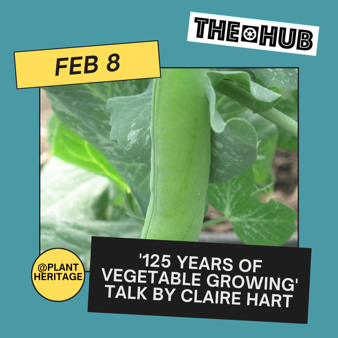 125 Years of Vegetable Growing' talk by Claire Hart