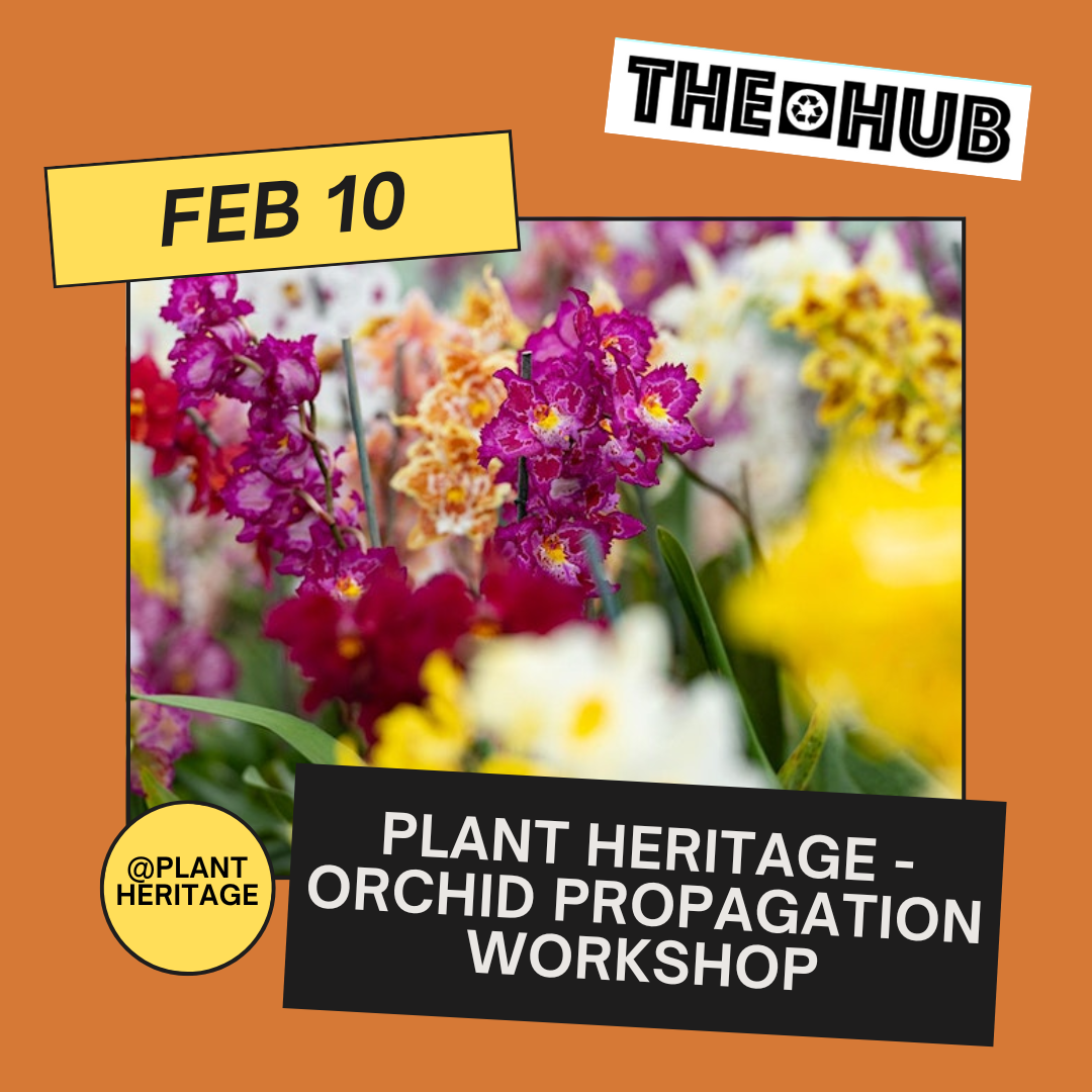 Plant Heritage - Orchid Propagation Workshop