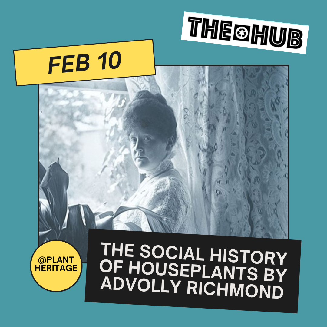 The Social History of Houseplants by Advolly Richmond