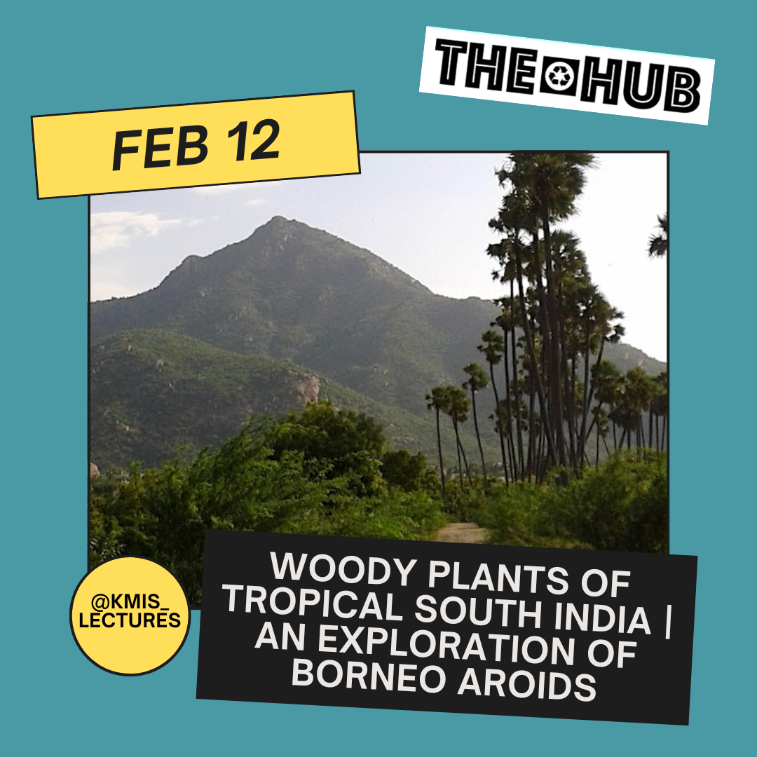 Woody plants of tropical south India | An exploration of Borneo aroids