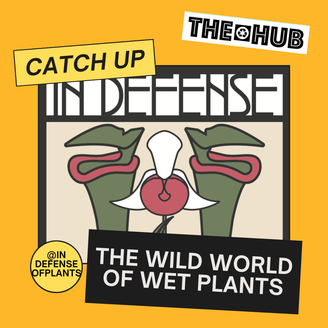 The Wild World of Wet Plants