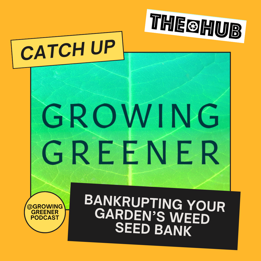 Bankrupting Your Garden’s Weed Seed Bank