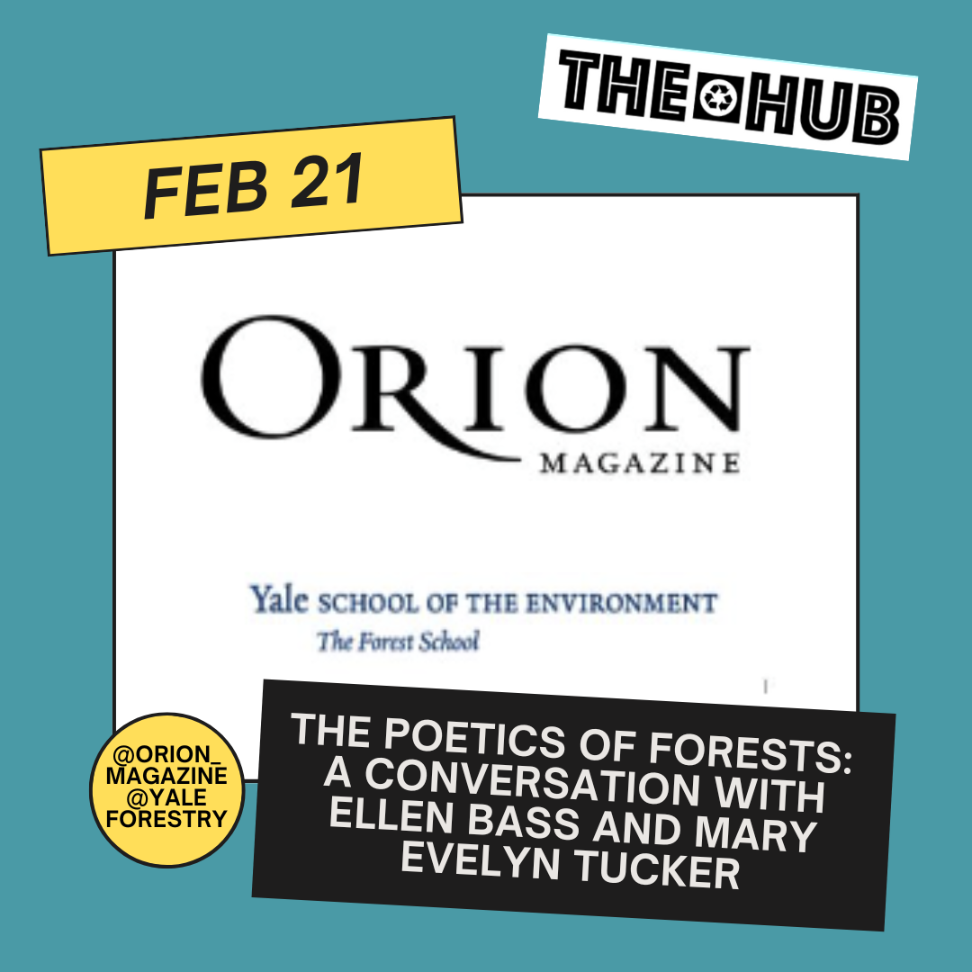 The Poetics of Forests: A Conversation with Ellen Bass and Mary Evelyn Tucker