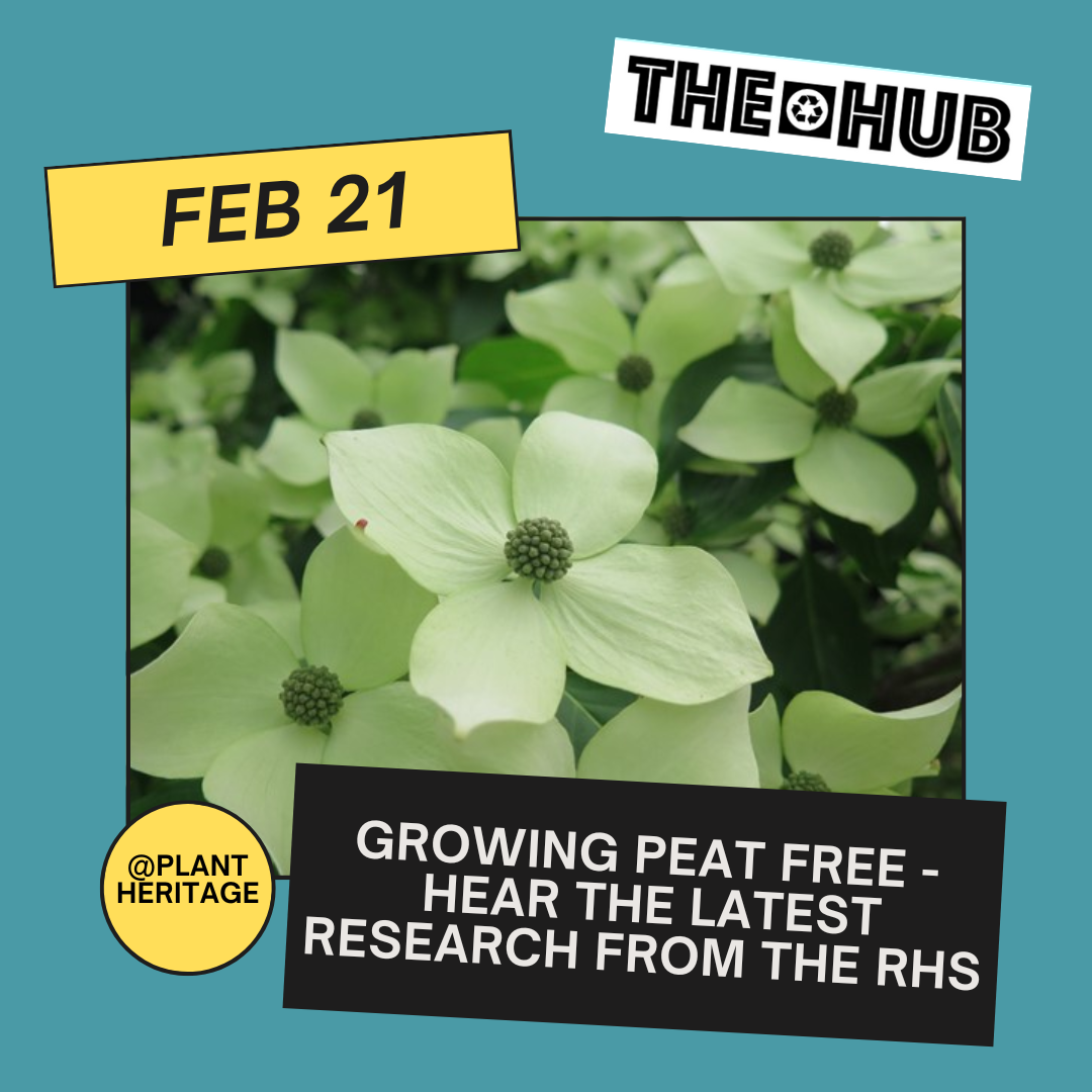 Growing peat free - hear the latest research from the RHS