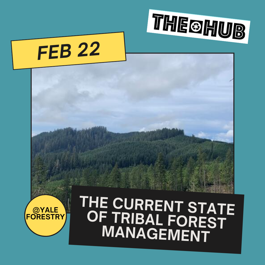 The Current State of Tribal Forest Management