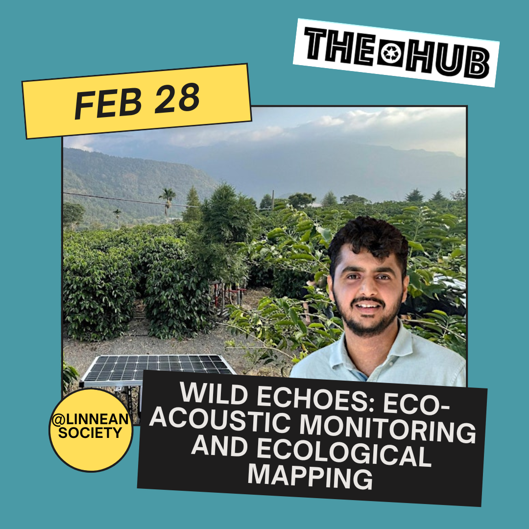 Wild Echoes: Eco-Acoustic Monitoring and Ecological Mapping