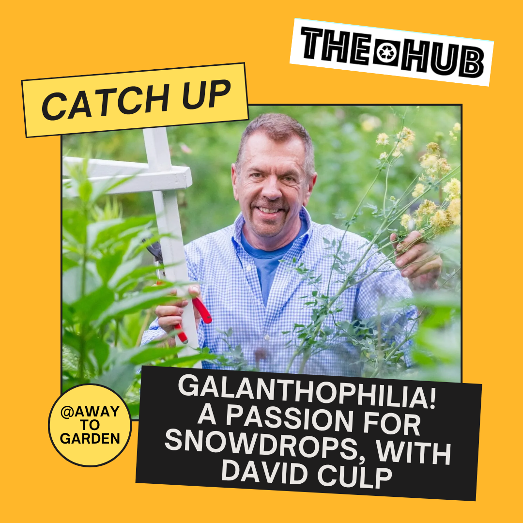 Galanthophilia! A passion for snowdrops, with David Culp