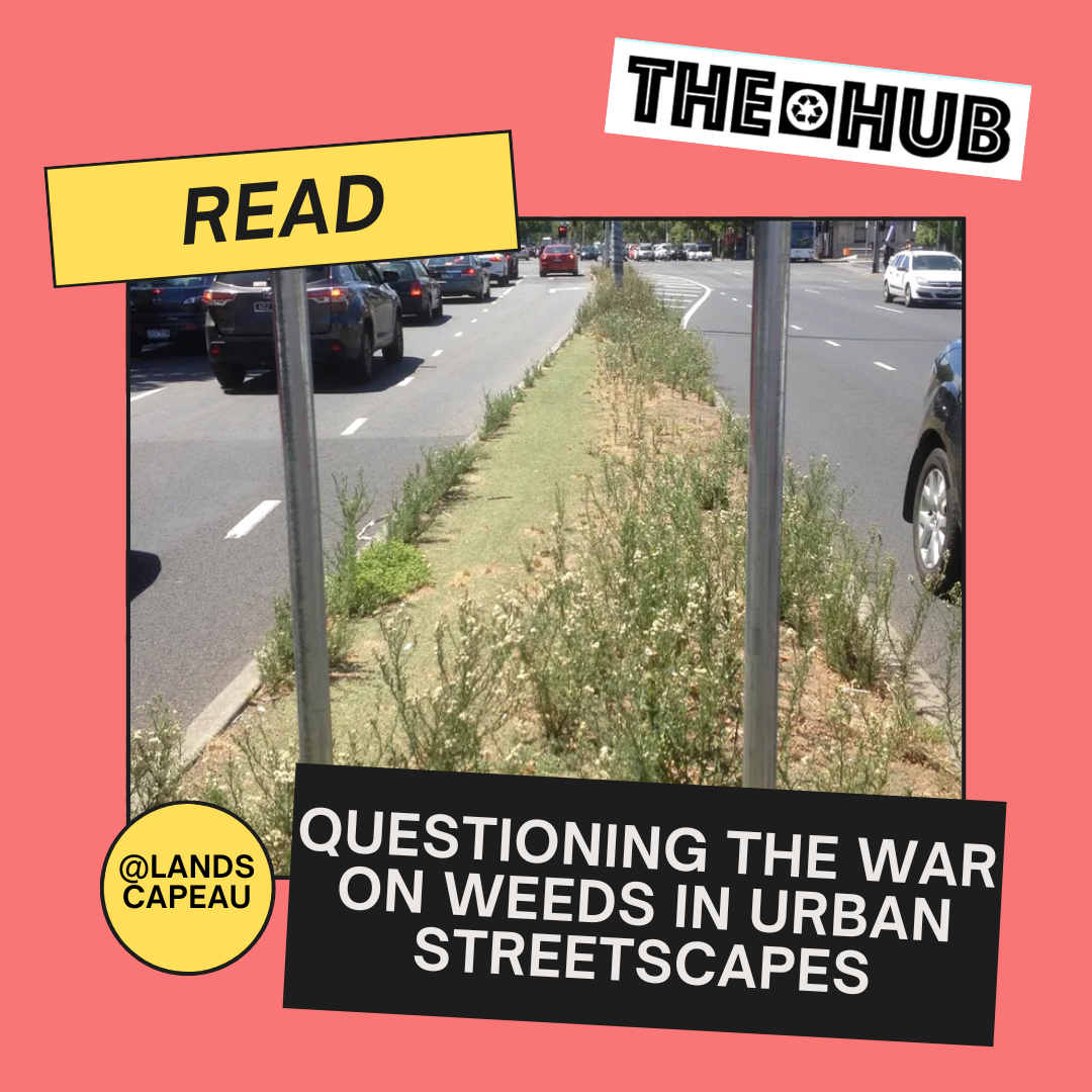 Questioning the war on weeds in urban streetscapes