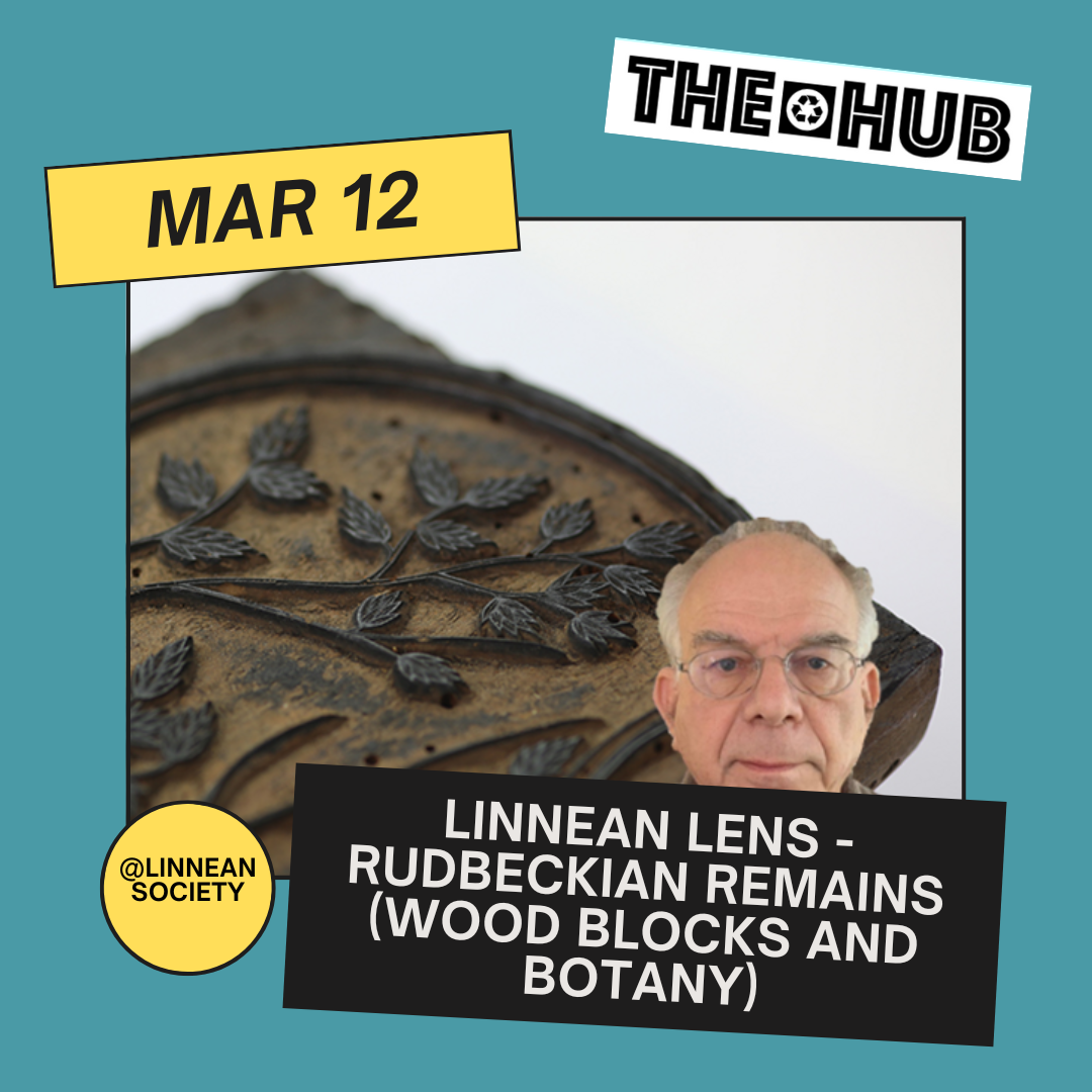 Linnean Lens - Rudbeckian Remains (Wood Blocks and Botany)