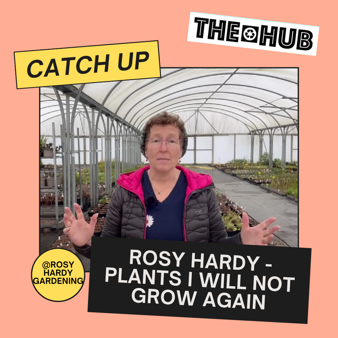 Rosy Hardy - Plants I Will Not Grow Again