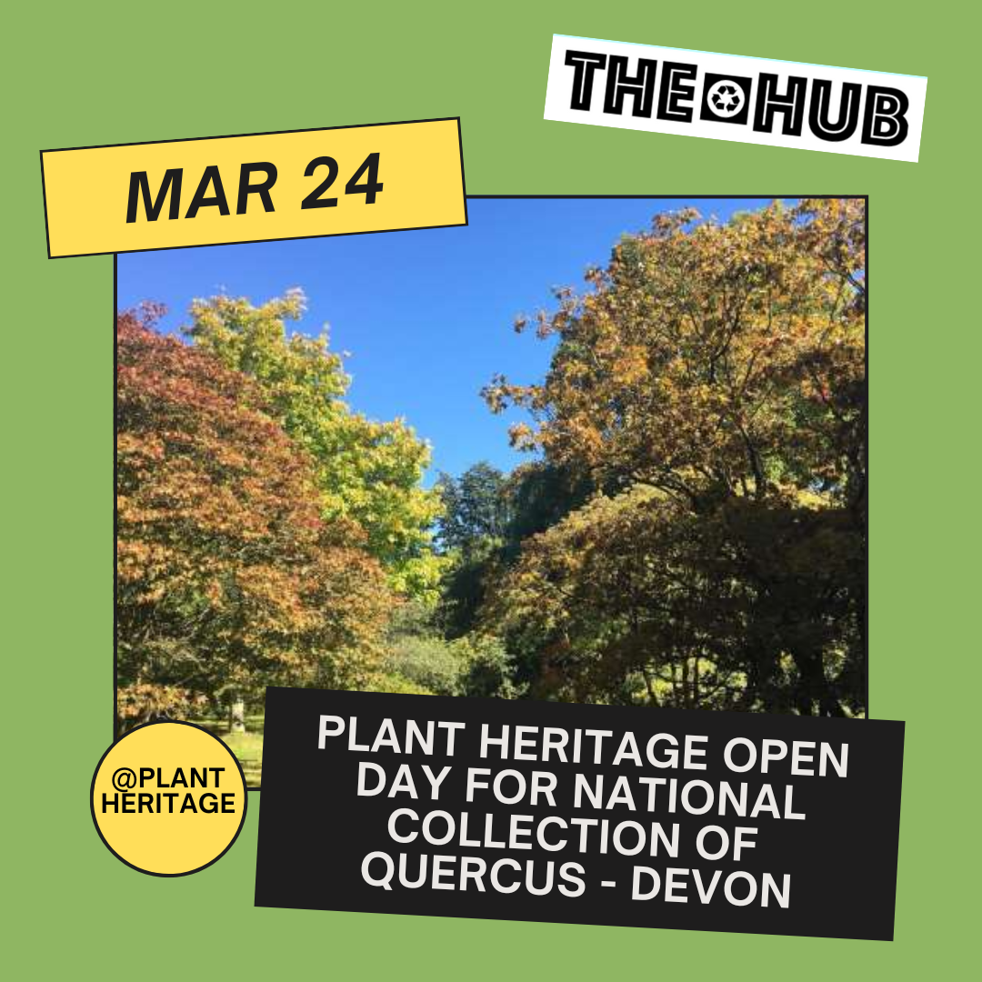 Plant Heritage Open Day for National Collection of Quercus - Devon