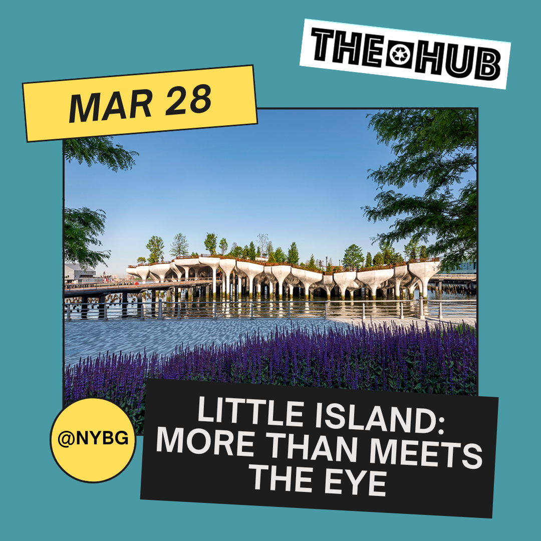 Little Island: More Than Meets the Eye