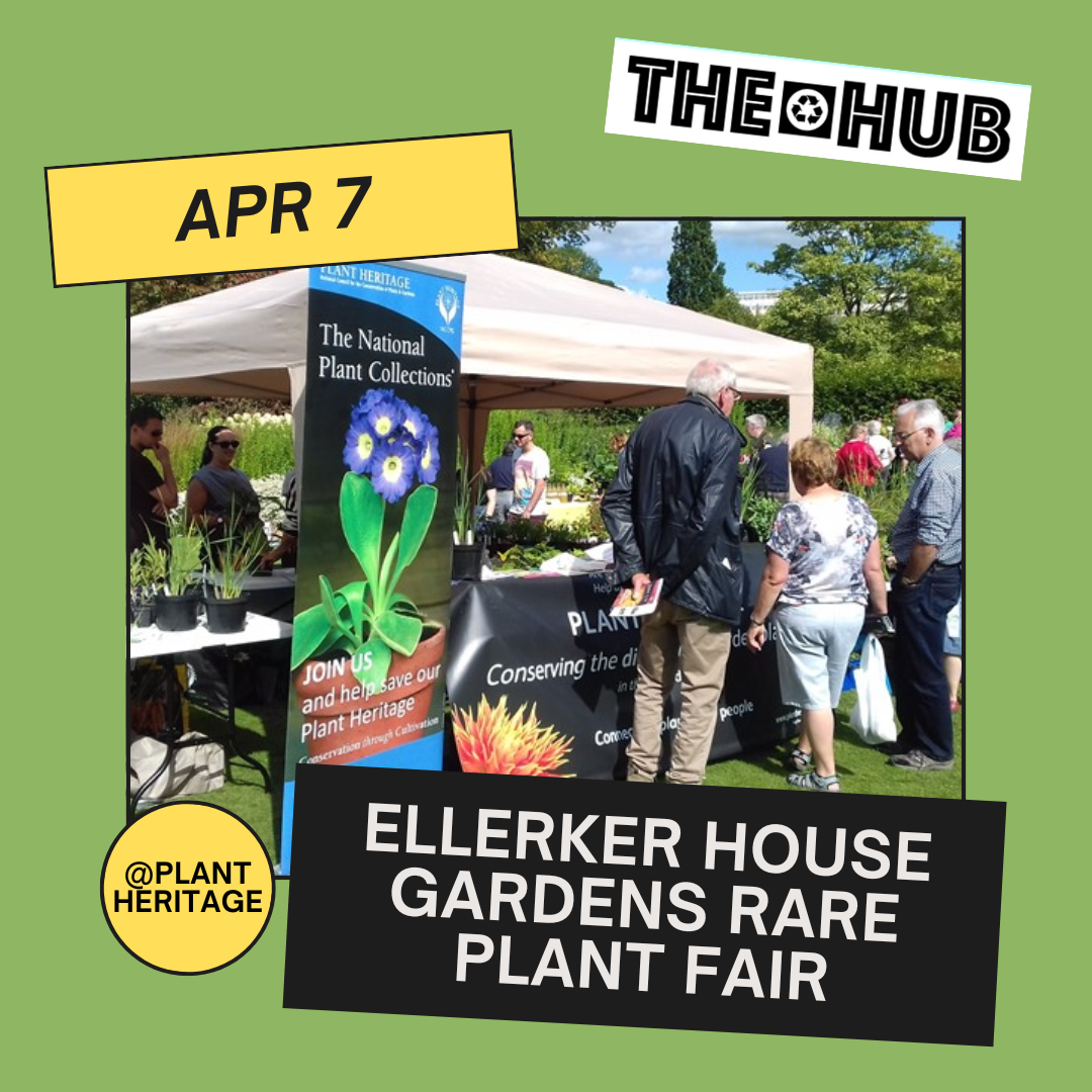 Ellerker House Gardens Rare Plant Fair
