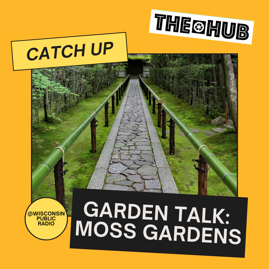 Garden Talk: Moss Gardens