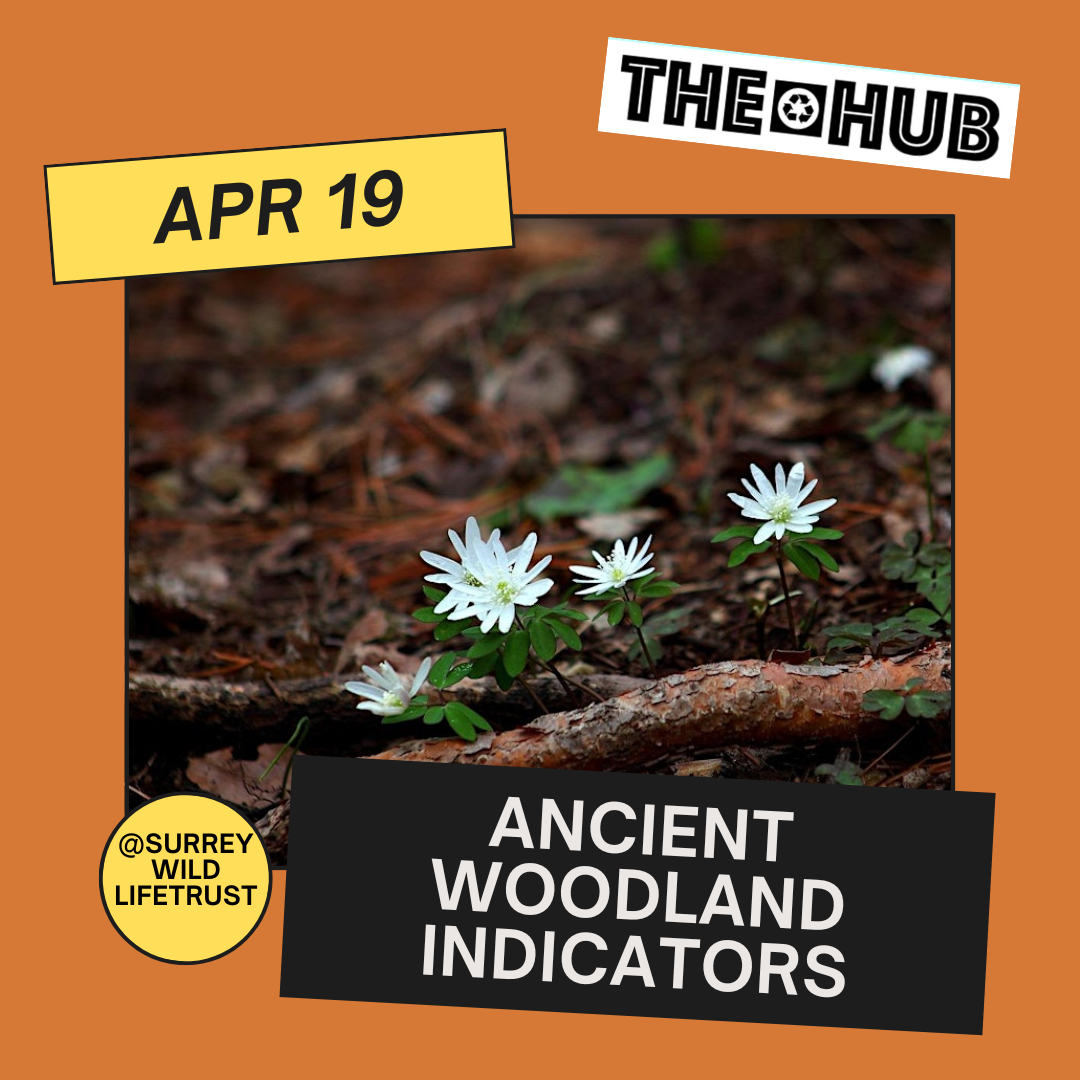 Ancient Woodland Indicators