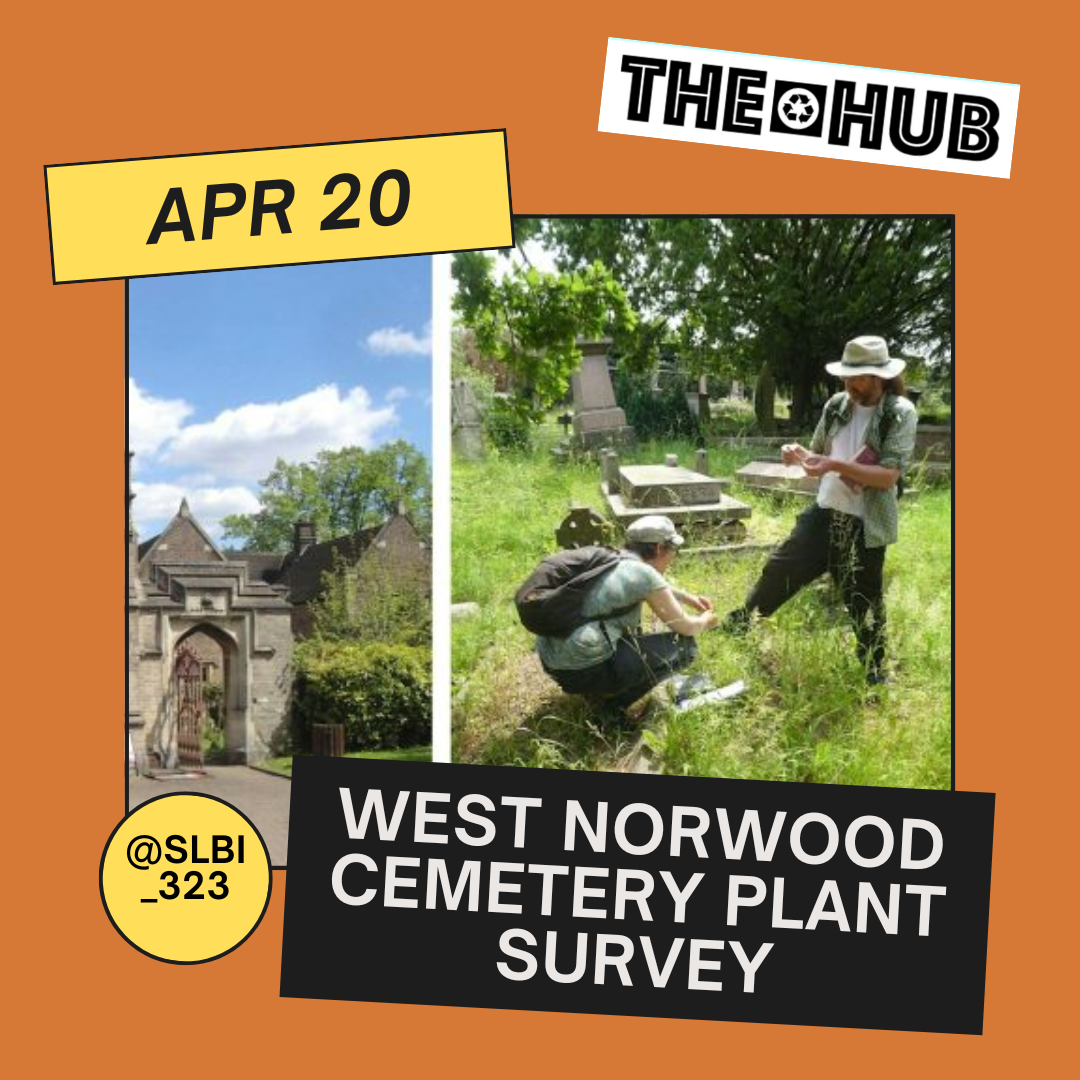 West Norwood Cemetery Plant Survey
