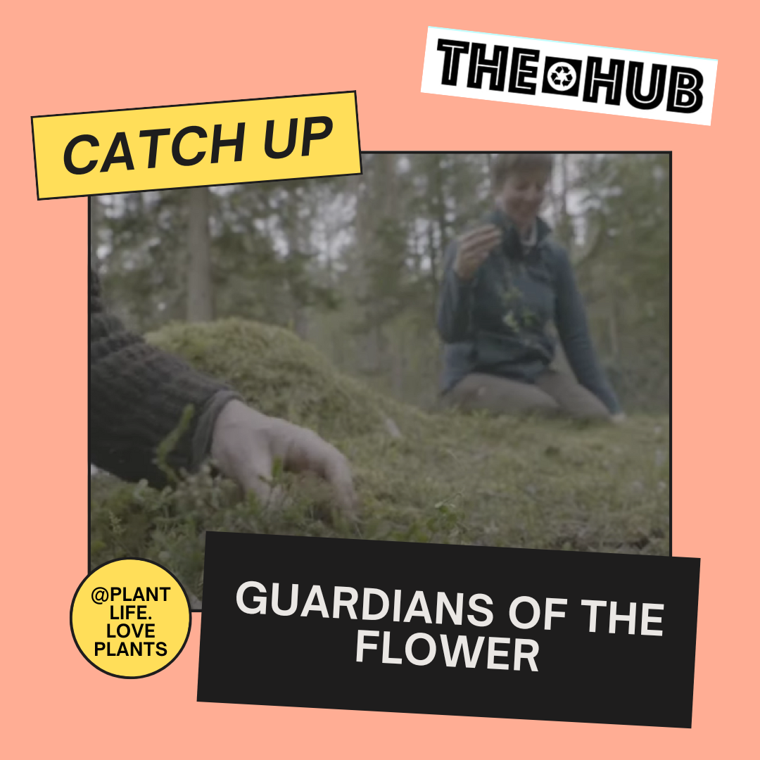 Guardians of the Flower